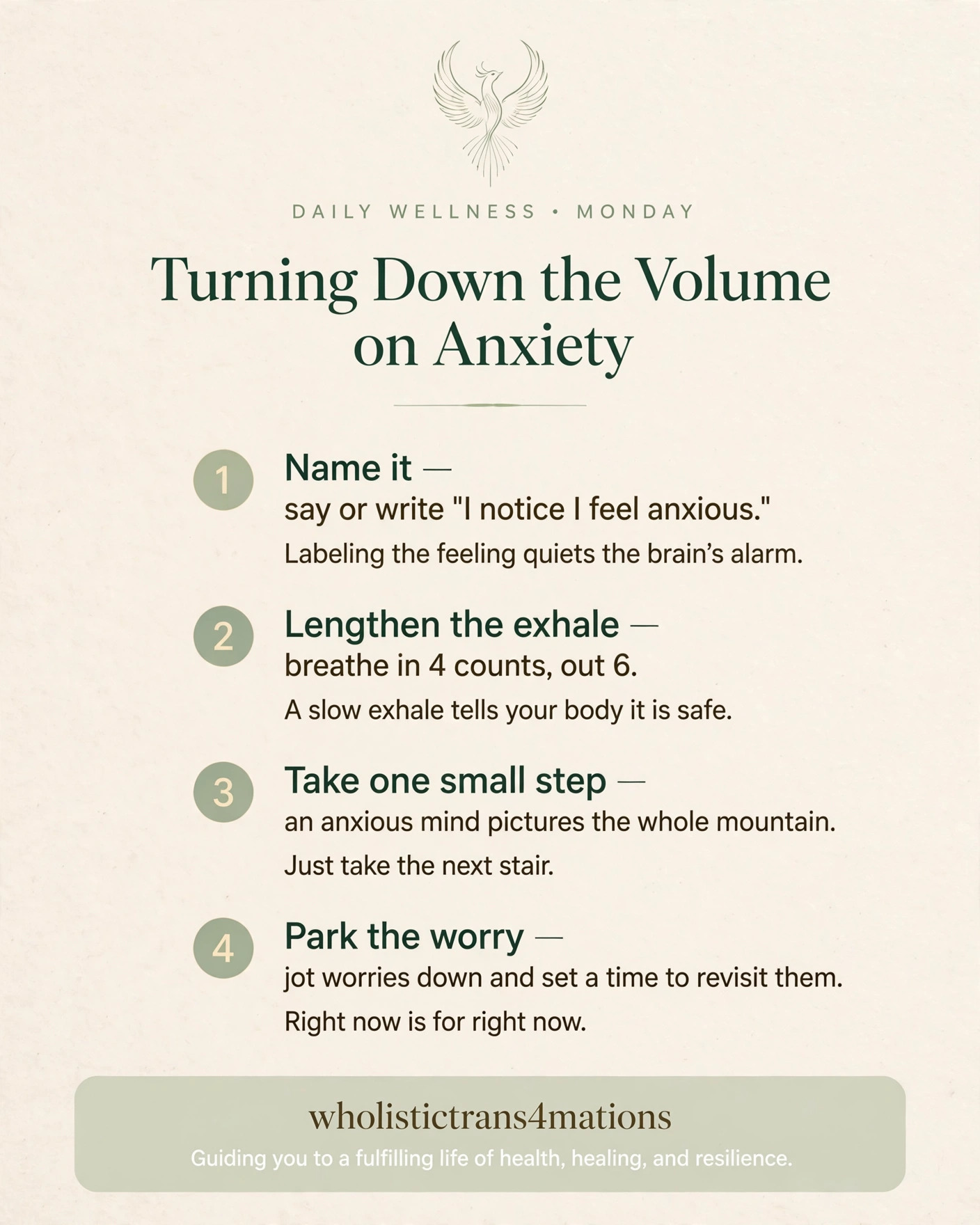Turning Down the Volume on Anxiety infographic: name the feeling, lengthen the exhale, take one small step, and park the worry.